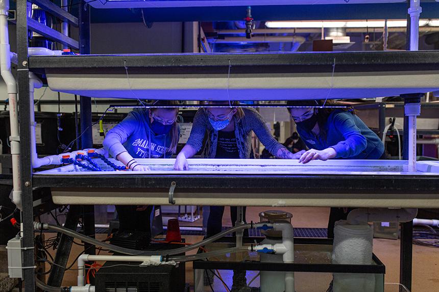 Students working in the Wet Lab 